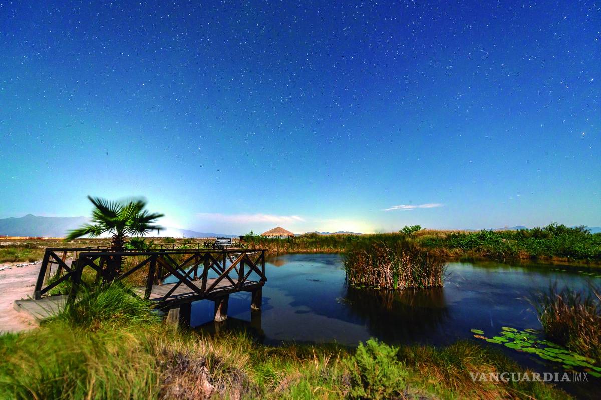 Proponen impulsar el turismo gerontológico en Coahuila; indican que es un nicho con gran potencial económico