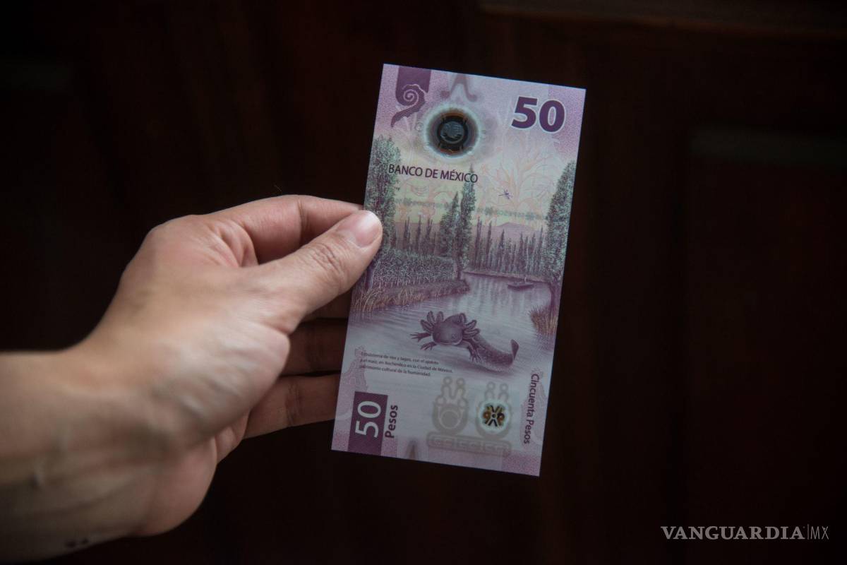 ¡Ajolote el más bonito! Billete de $50 gana premio al mejor del 2021