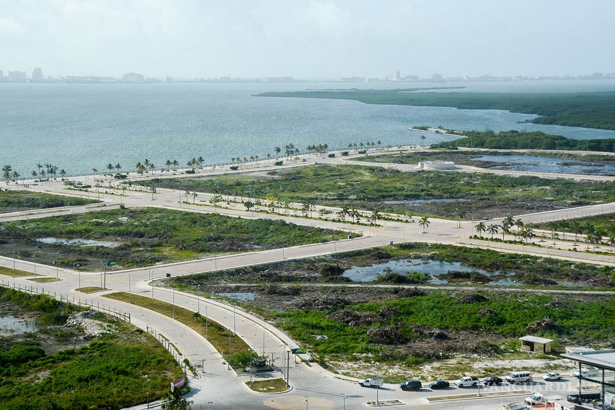 Estudio irregular de Semarnat dejó sin protección el manglar Tajamar