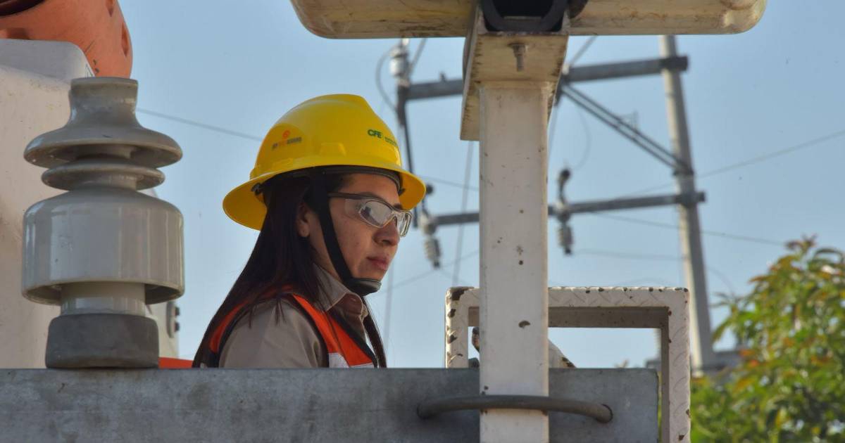 Apagón en Campeche, Yucatán y Quintana Roo: CFE restablece electricidad en la mayoría de zonas afectadas