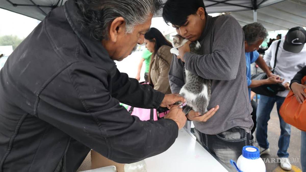 Feria del Bienestar Animal en Saltillo promueve la adopción y el cuidado de los seres sintientes