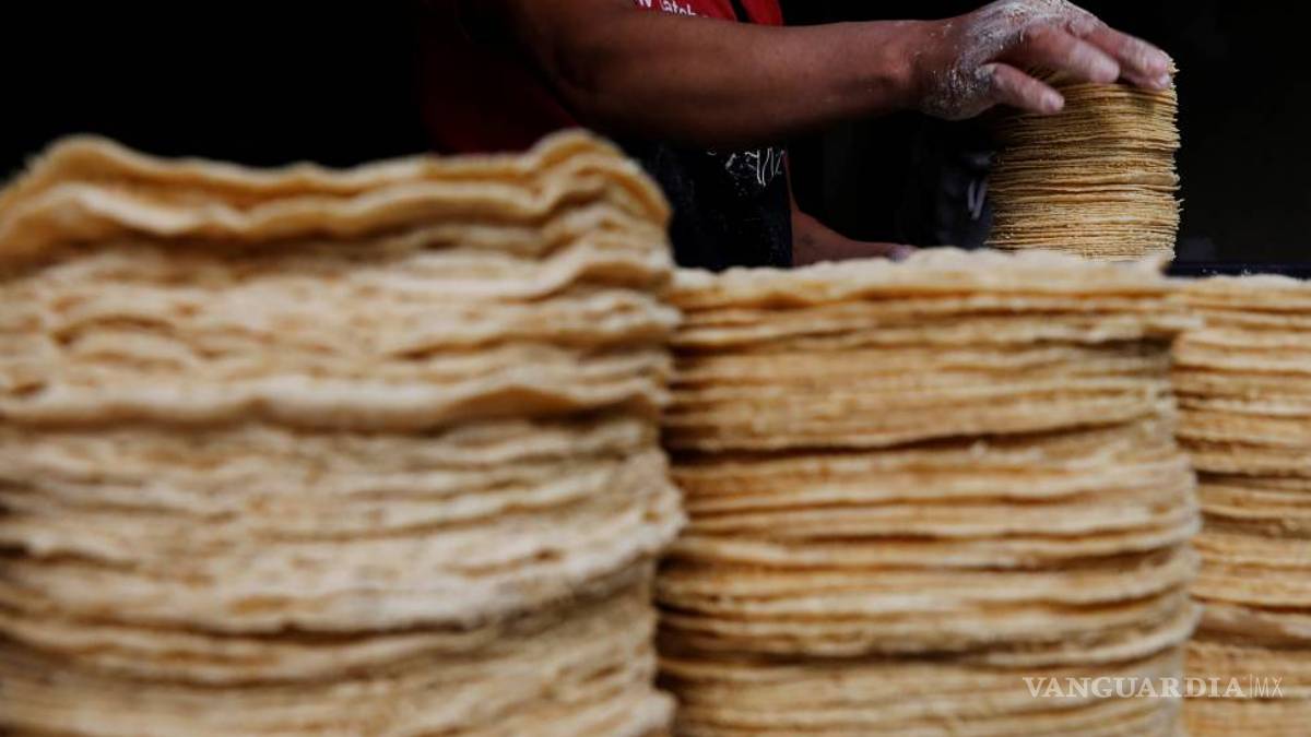 Precio de la tortilla en el país se mantiene estable, según Profeco