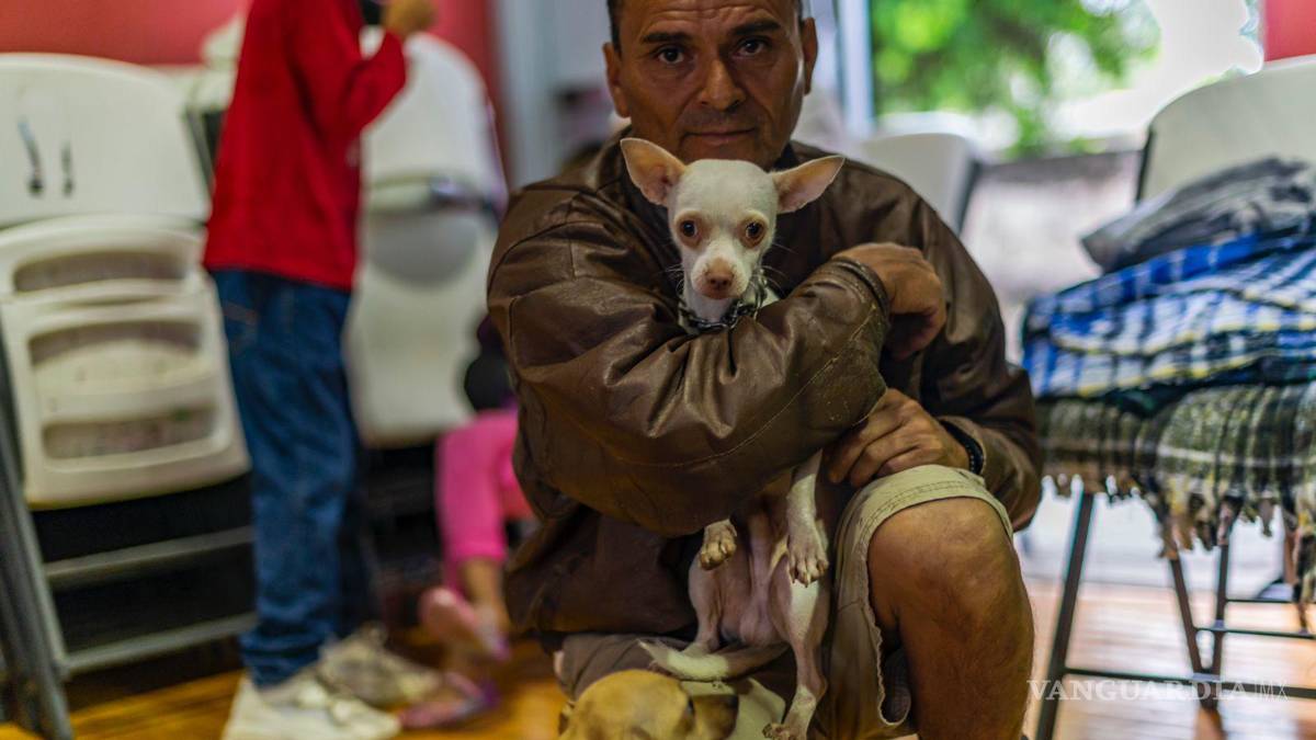 ‘Jerry’, el perro chihuahueño que salvó a su dueño de morir ahogado en inundación en Múzquiz