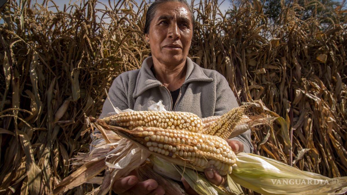 Disminuye inversión extranjera en el campo