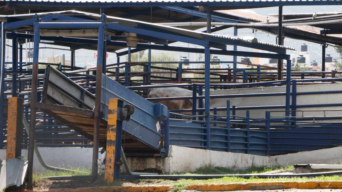 Rastros, en la mira de senadores