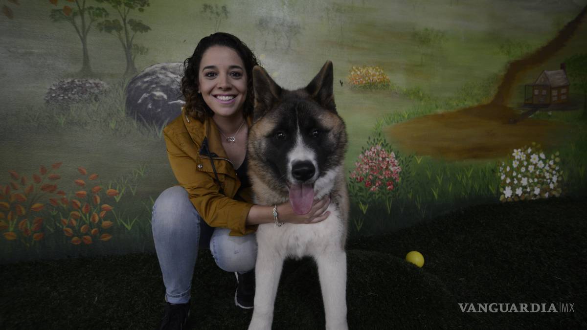 Saturado hotel para mascotas en Saltillo
