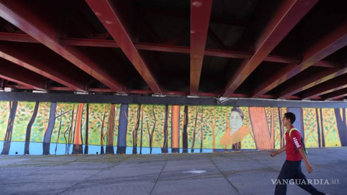 Dedican mural a saltillense protectora de la mariposa Monarca