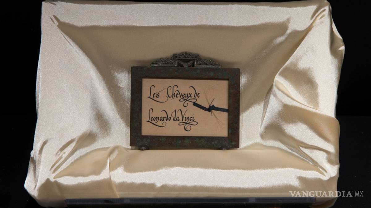 Museo italiano realiza pruebas de ADN a cabello encontrado que se piensa es de Leonardo da Vinci