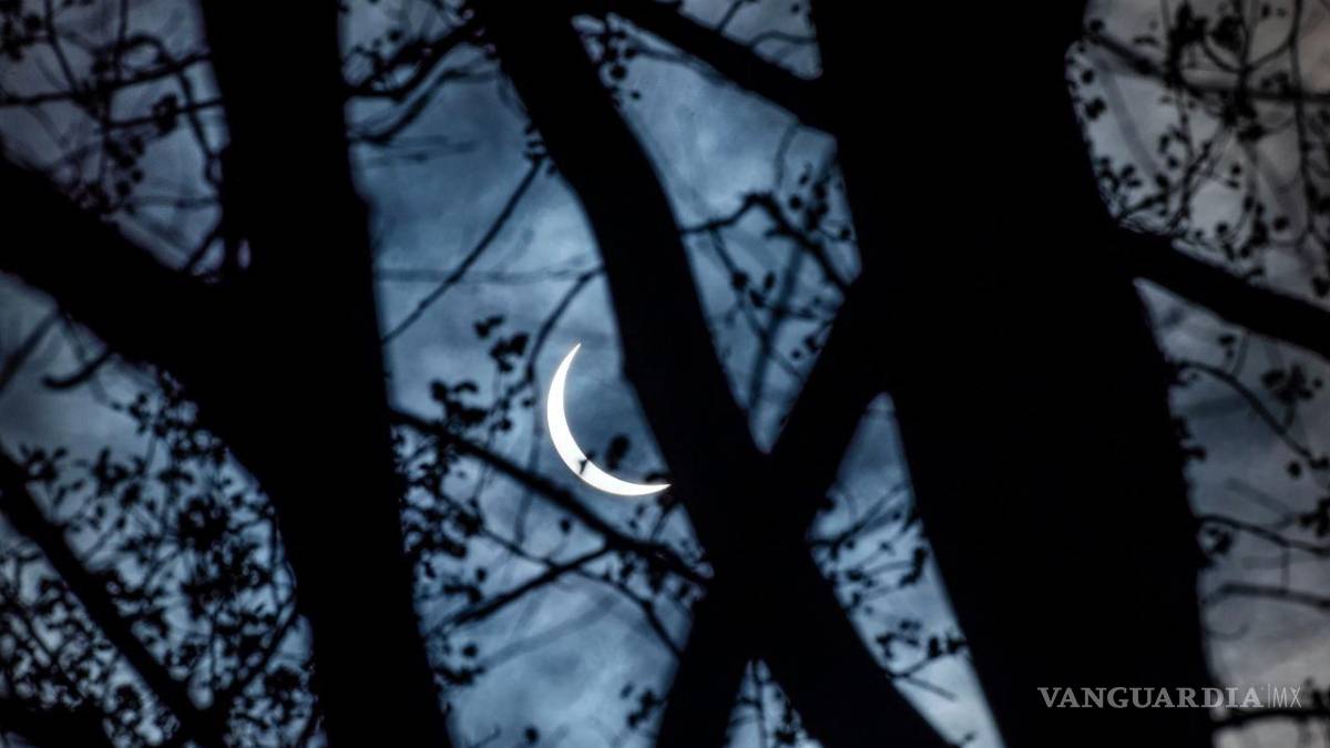 Así cautiva, maravilla y asombra el eclipse solar desde Mazatlán hasta la isla de Terranova (fotos)