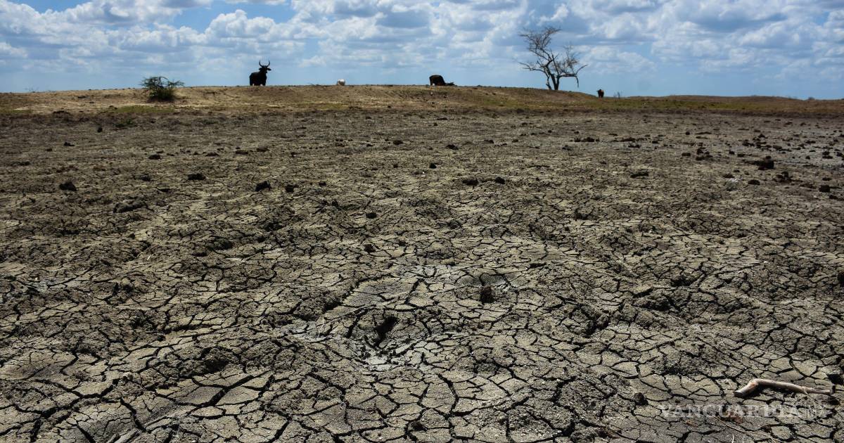 Alerta climática: El fenómeno de “El Niño” podría intensificarse con fuerza a finales de 2026