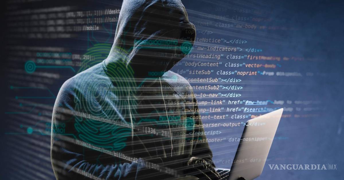 Ciberdelitos: el problema se multiplica todos los días