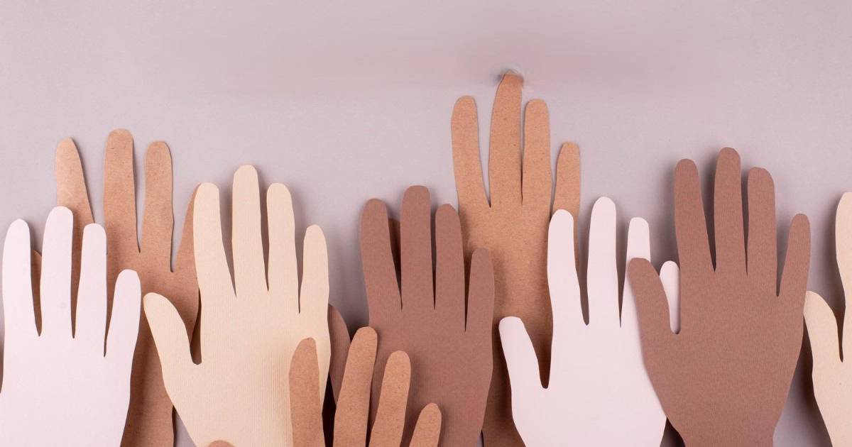 Desde el norte: la contribución académica a la defensa de los derechos político-electorales