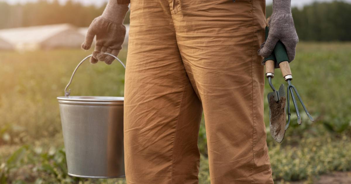 ‘El Gallito’: la historia de un hombre que no se raja