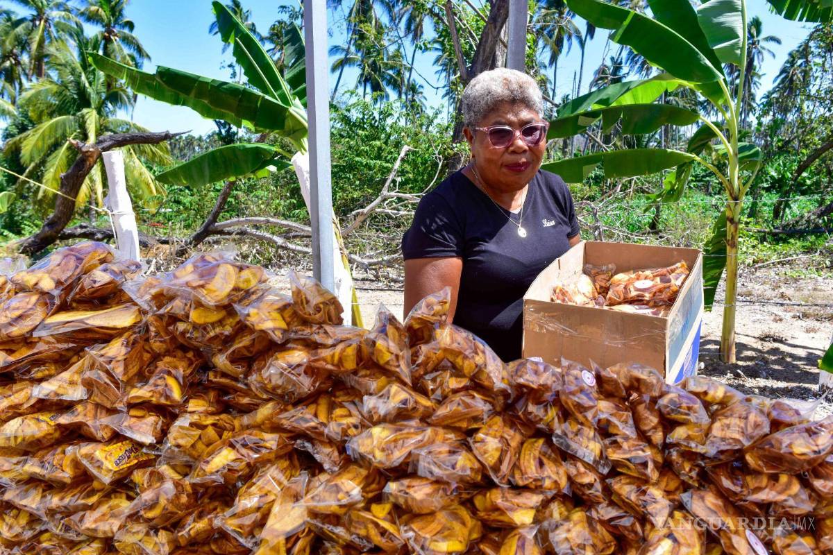 Alerta por ‘hongo mortal’ del plátano: México revisa cientos de miles de plantas en 2025