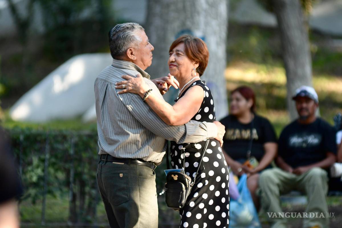 $!El colectivo nació en julio pasado, con la primera intervención en la explanada de la biblioteca “Prof. Manuel Múzquiz Blanco”.