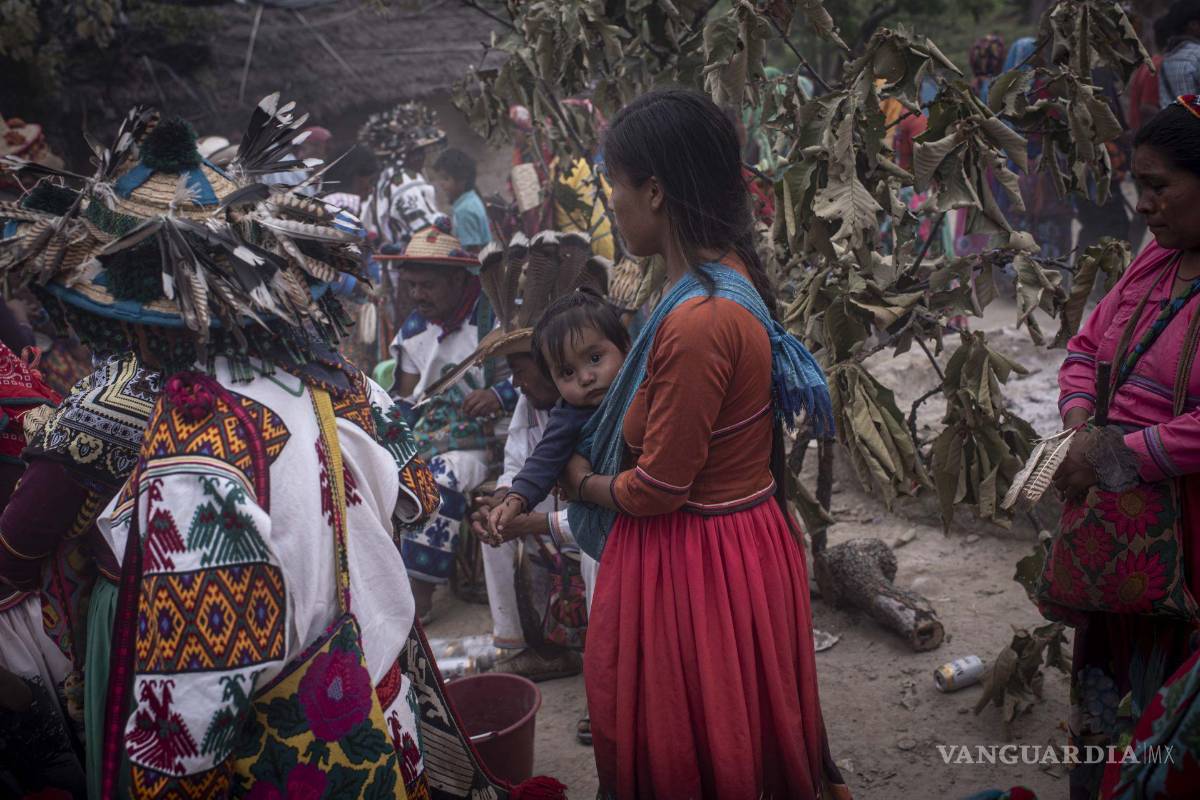 Sugiere Iglesia Católica mayor inclusión de pueblos originarios