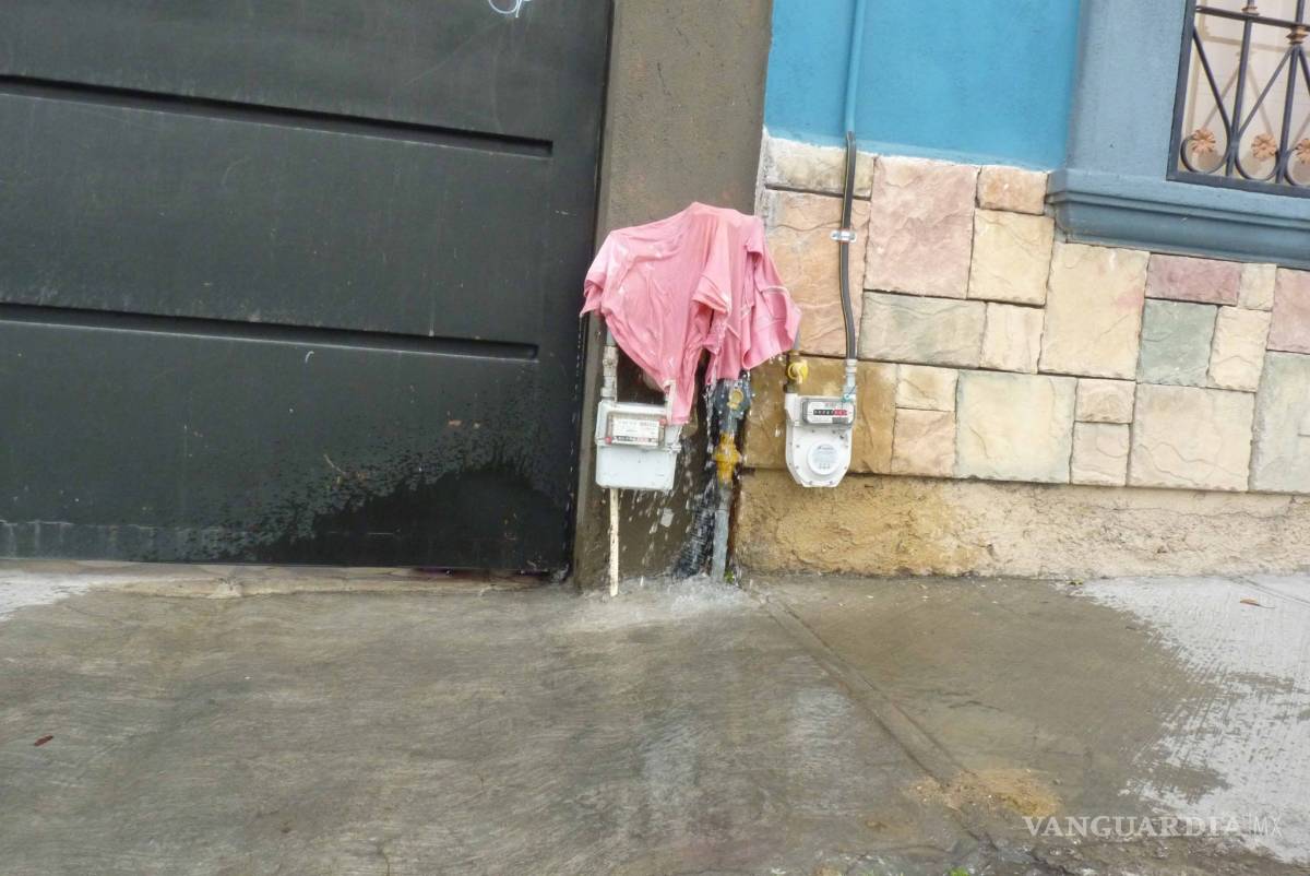 $!Así es la vida en la Ciudad Mirasierra