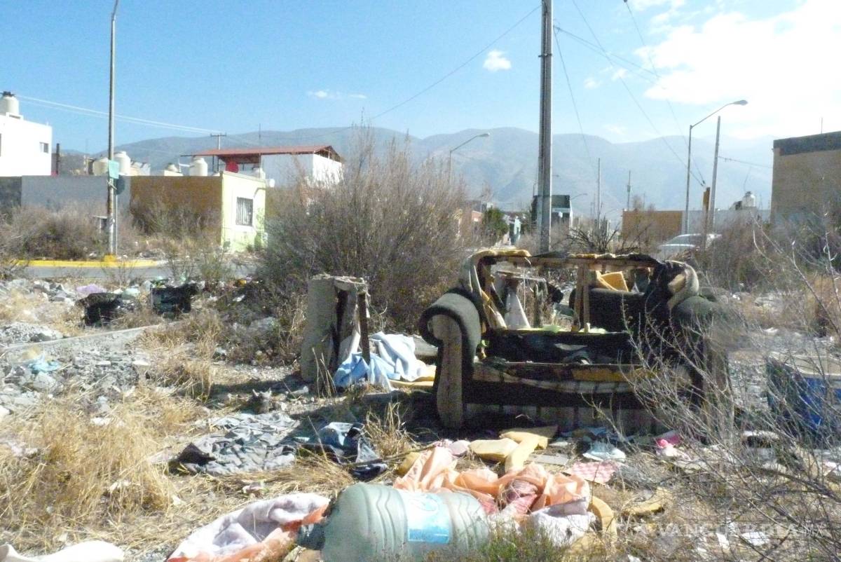 $!Así es la vida en la Ciudad Mirasierra