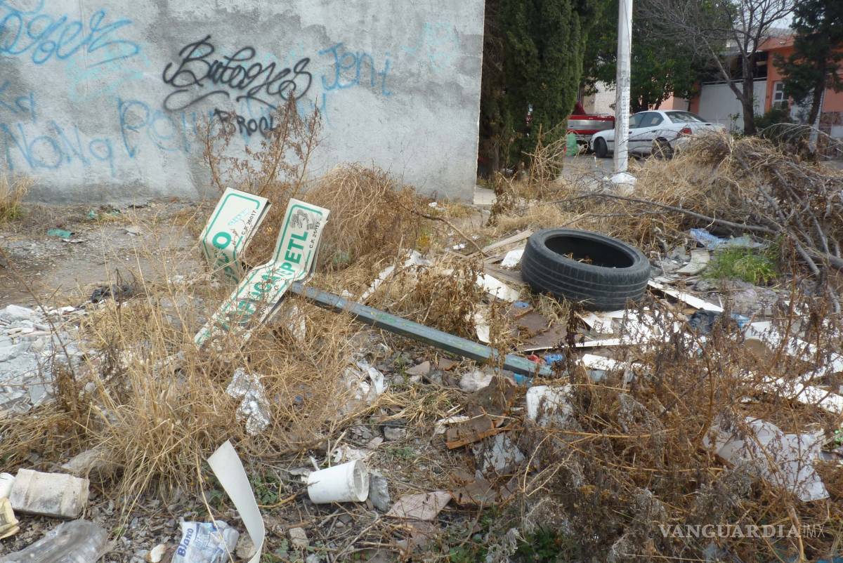 $!Así es la vida en la Ciudad Mirasierra