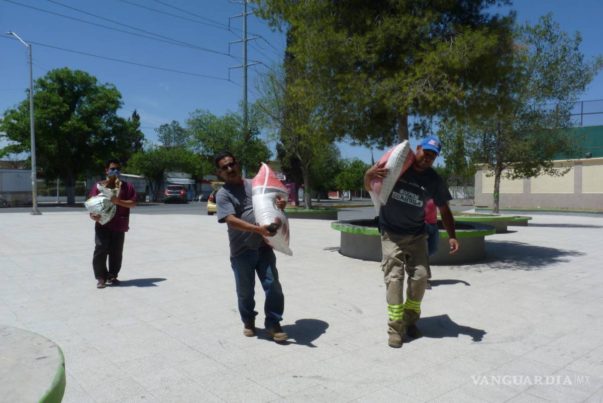 $!Solo tres saltillenses, de más de medio millón, donan recursos para alimentar a los patos de la Ciudad Deportiva