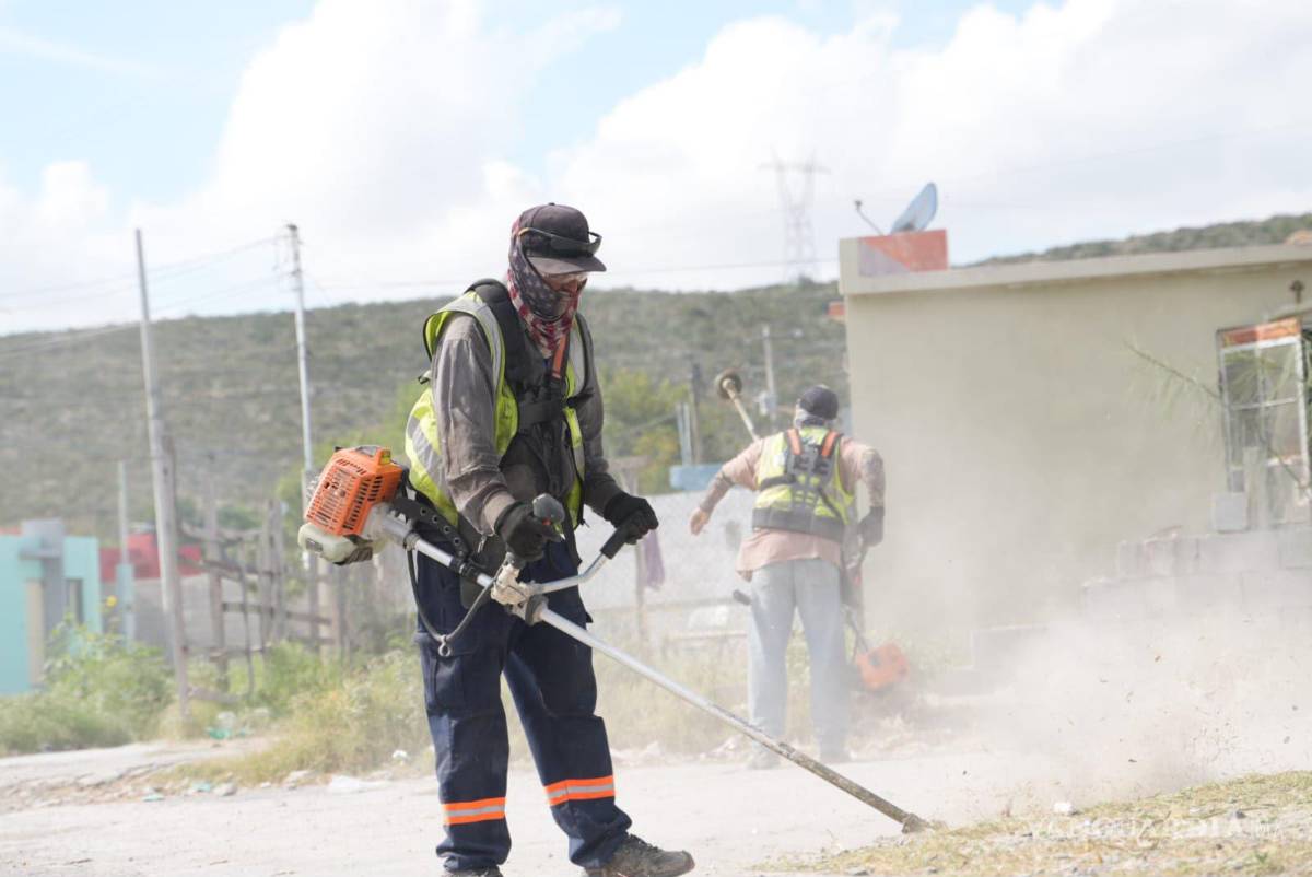 $!En algunos sectores se llevaron a cabo acciones de fumigación.