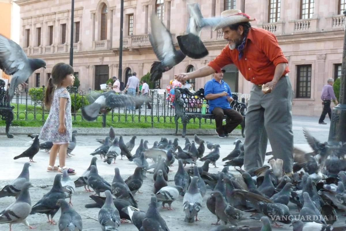 $!Pitoco asegura que su trabajo es honesto, y que lo único que sabe hacer es bailar a sus muñecos.