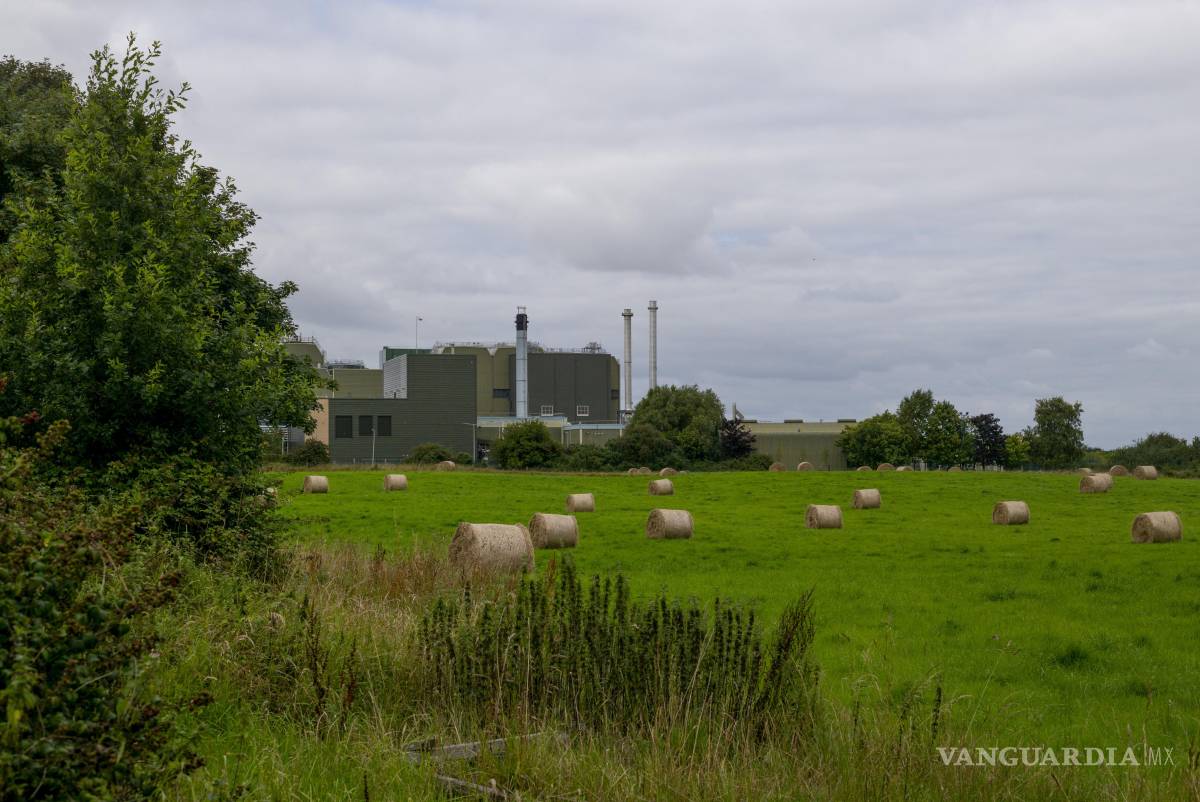 $!El baby boom en China enriqueció al pueblo de Askeaton donde una fábrica de Nestlé producía fórmula para recién nacidos. Una crisis de natalidad lo desbarató todo.