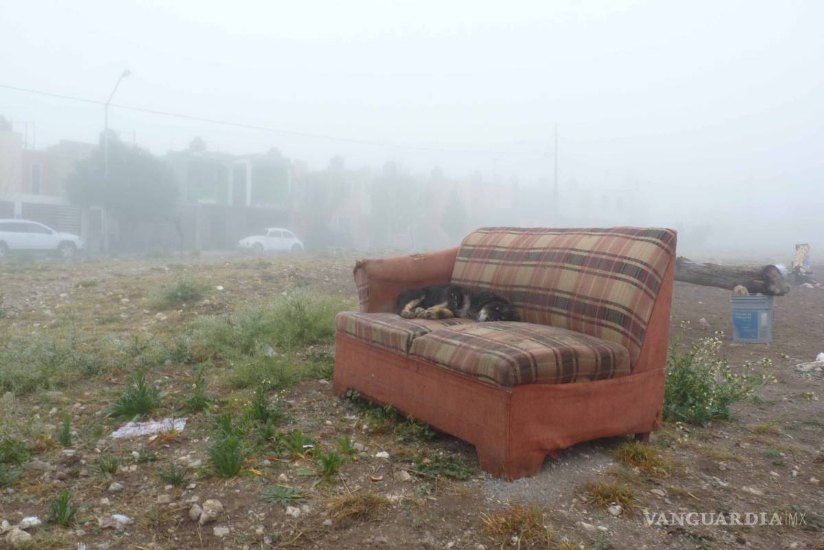 $!Así es la vida en la Ciudad Mirasierra