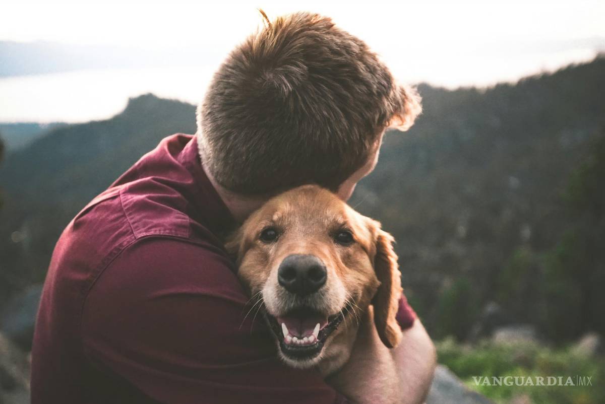 $!El estornudo inverso, también llamado respiración paroxística inspiratoria, es una reacción común en los perros.