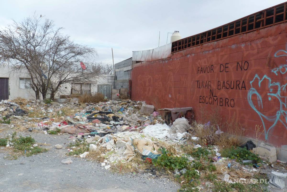 $!Así es la vida en la Ciudad Mirasierra