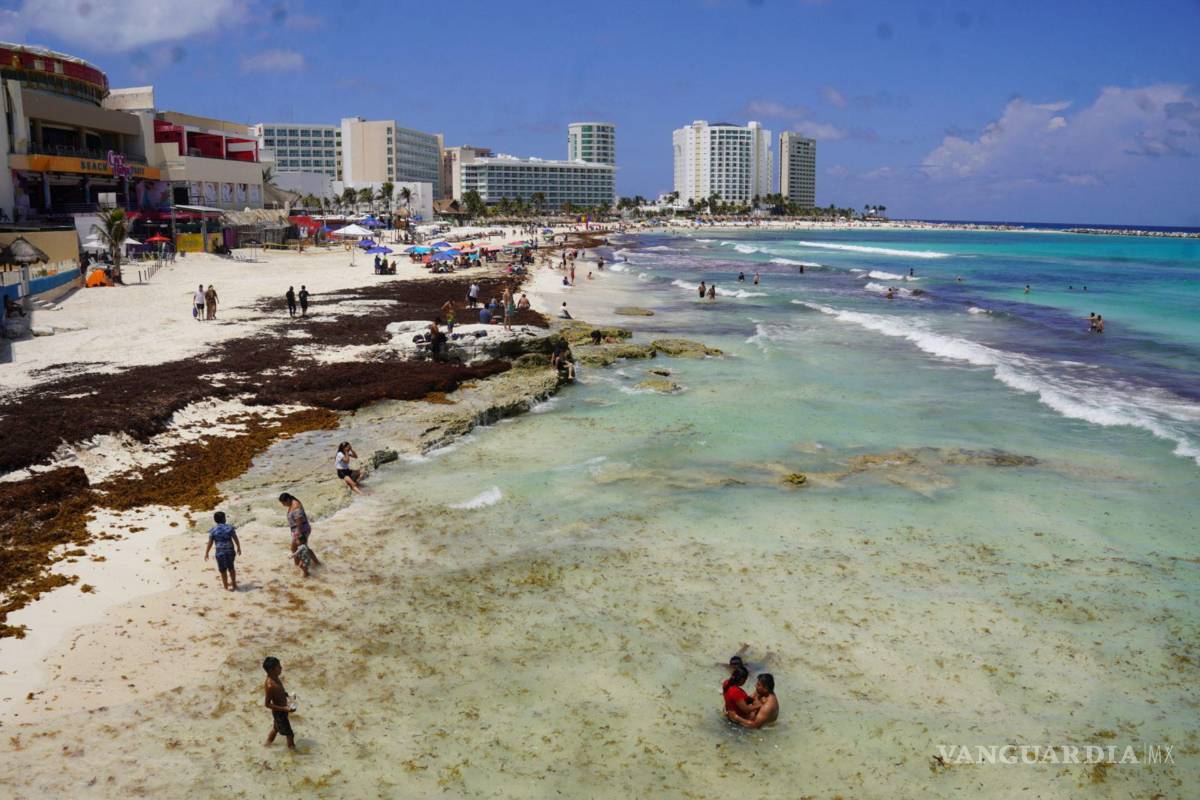 Invade sargazo el 50% de playas turísticas en Quintana Roo