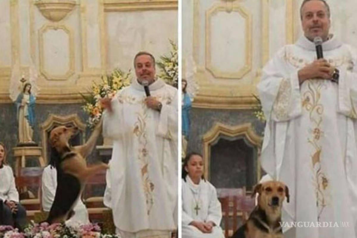 Sacerdote lleva perros a sus misas para que fieles los adopten; "Son de Dios"