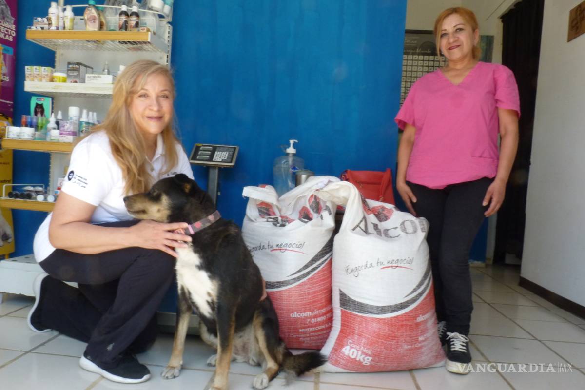 Crisis de COVID-19 obliga a saltillenses a abandonar a sus mascotas