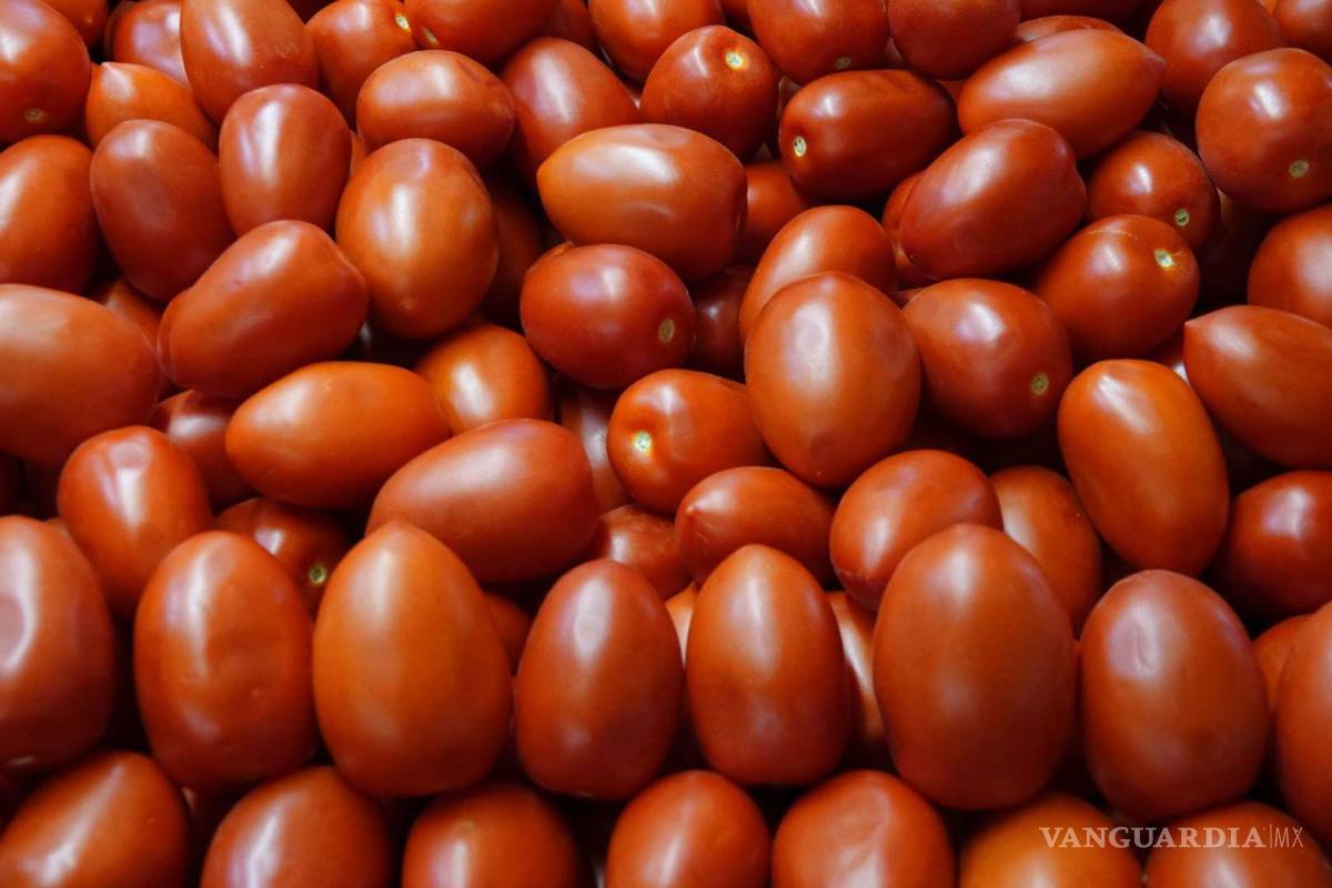 ¿Se salvaron los jitomates? Informan acuerdo entre Estados Unidos y México