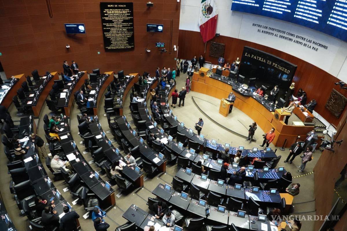 Incorporan a la Constitución término ‘Presidenta’