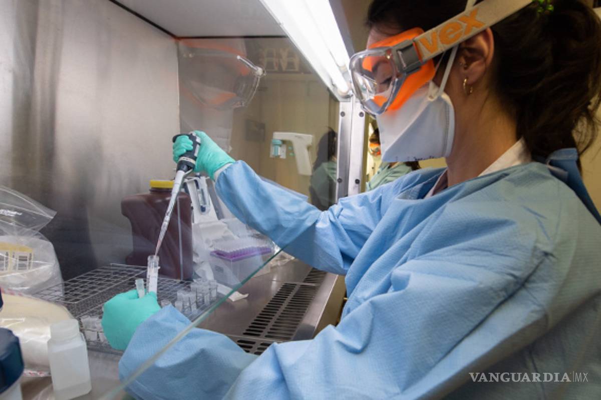 Solicitan hasta 300 pruebas SARS-CoV-2 diarias en Monclova