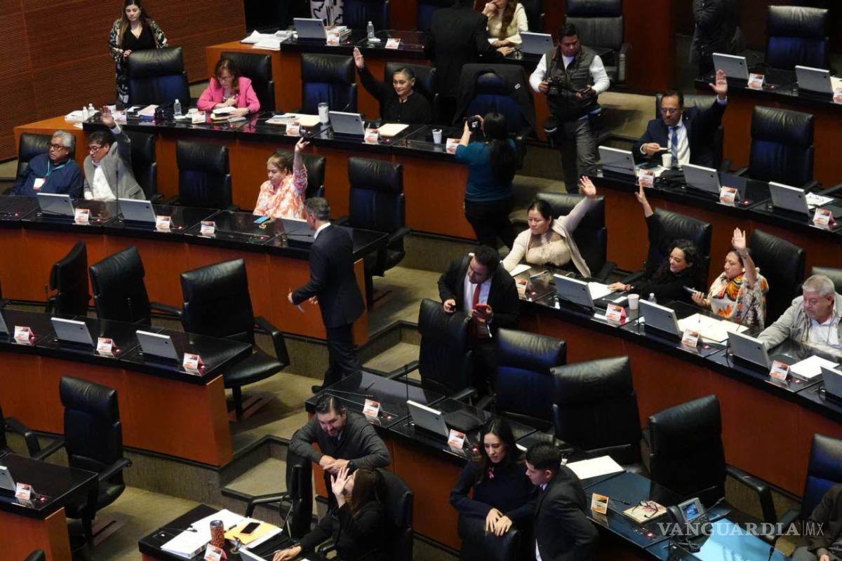 Senado aprueba convocatoria para elección judicial de 2025