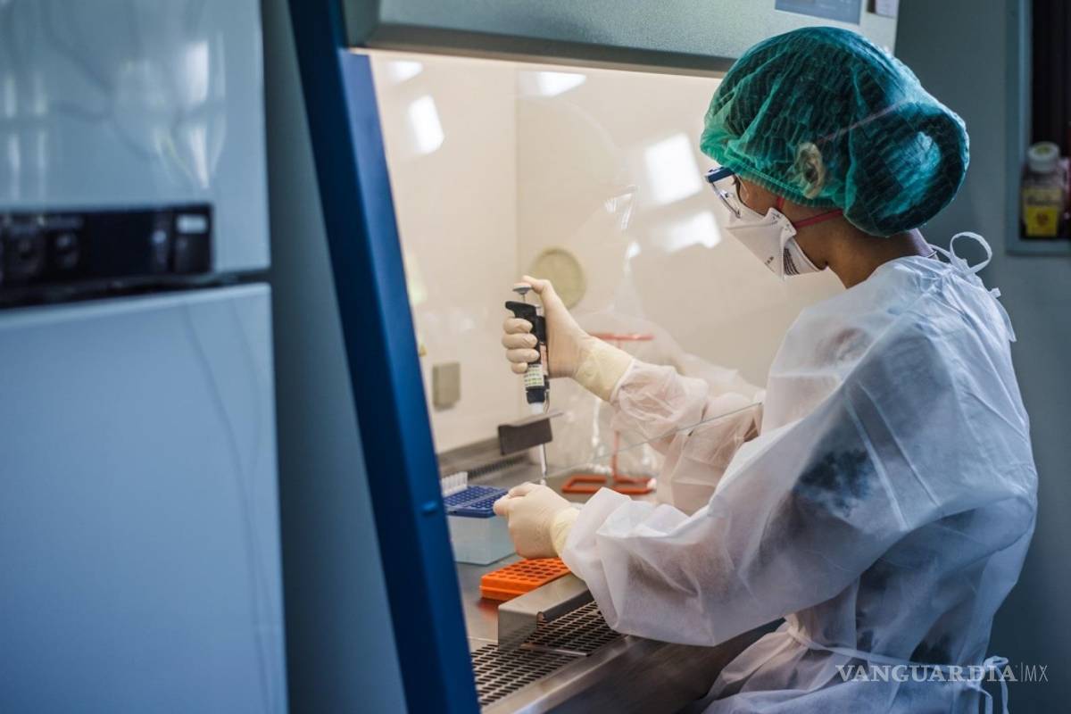 Emite la OMS sus primeras recomendaciones sobre la manipulación del genoma humano