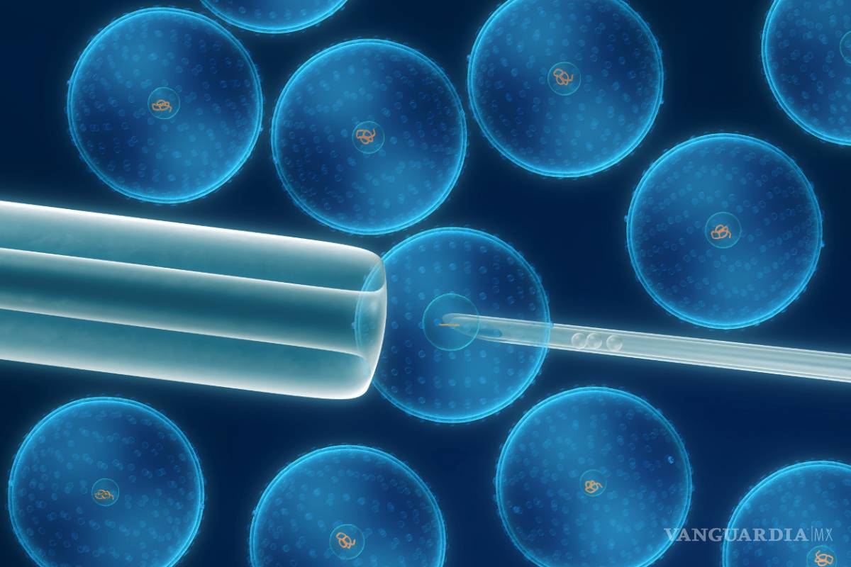 Descifran primeros pasos de células adultas a células madre