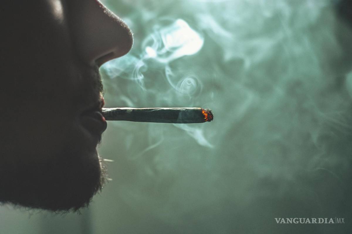 La adicción como una enfermedad cerebral crónica