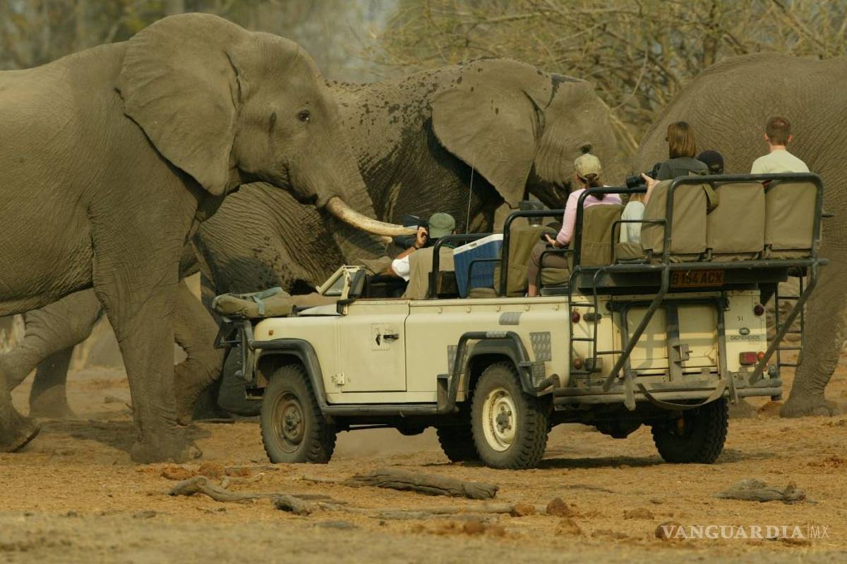 ¿Amas a los animales? No hagas ecoturismo