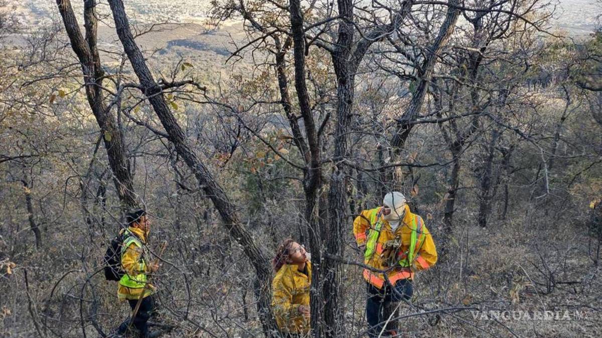 ‘Pirómano’ causa incendio en Sierra de Zapalinamé en Saltillo; fue visto quemando leña