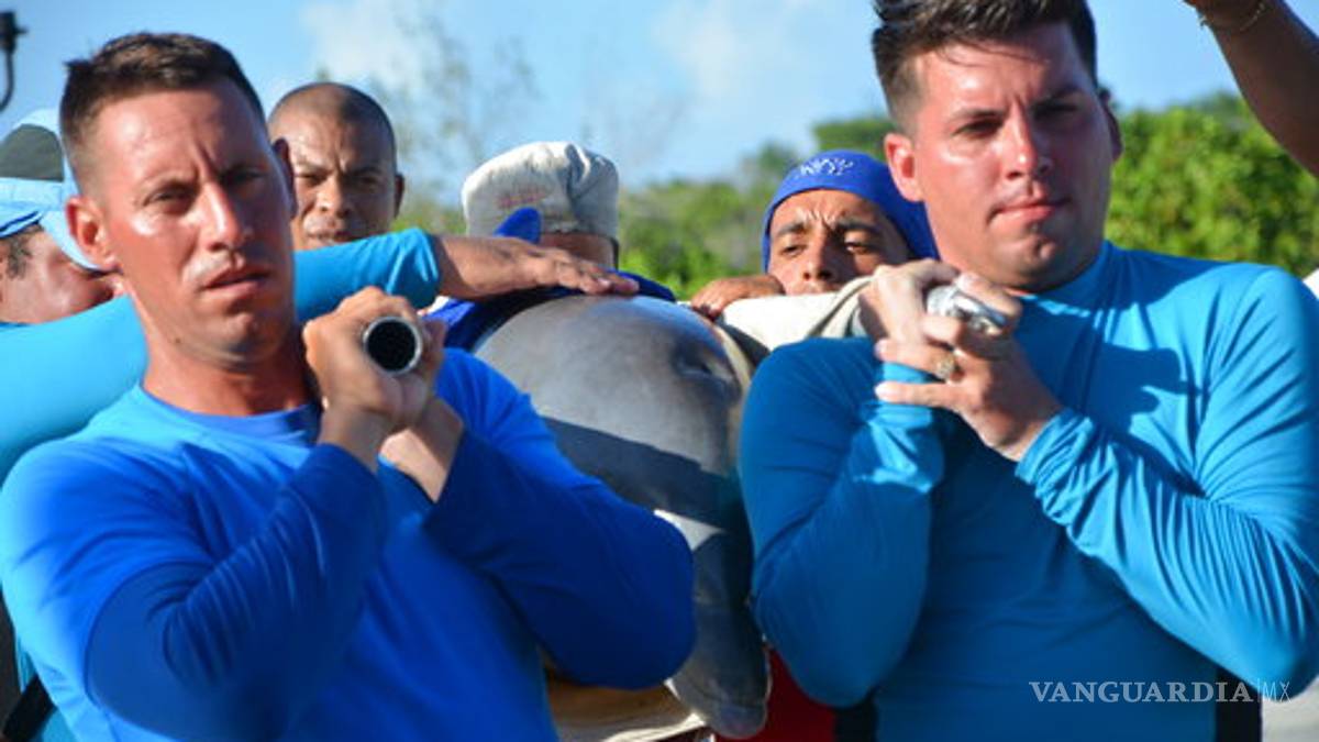 Irma deja en Cuba derrumbes y 10 muertos