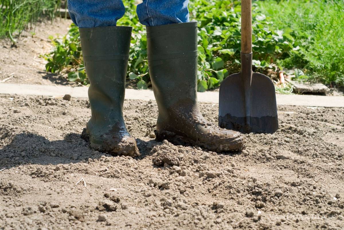 $!Científicos de la UNAM crean bolsas biodegradables
