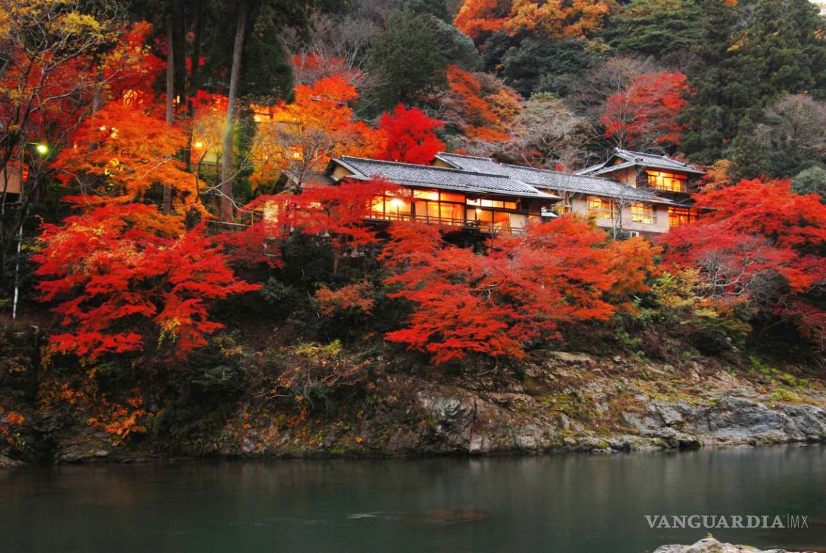 $!Alojamientos ecológicos, remansos de paz... y lujo