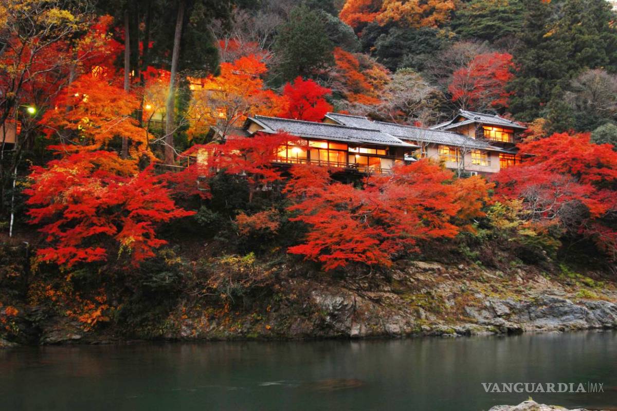 $!Alojamientos ecológicos, remansos de paz... y lujo