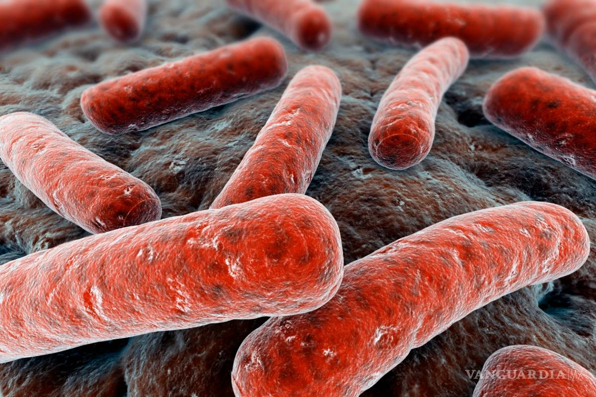 ¿Heces humanas para bajar de peso?, investigadores estudian la posibilidad de usarlas