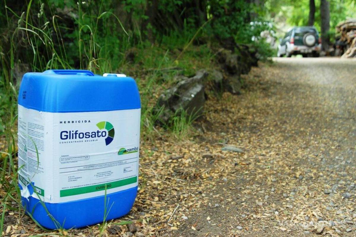Niega importación de toneladas de glifosato