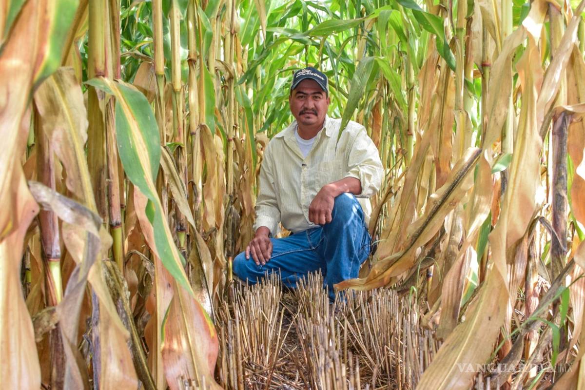 La apuesta por una agricultura inteligente en busca de la autosuficiencia alimentaria