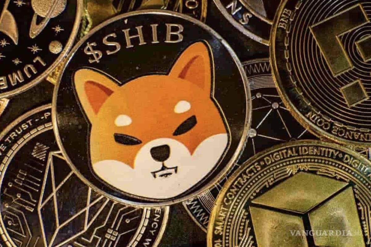 Shiba Inu, la nueva criptomoneda que superó brevemente a la dogecoin